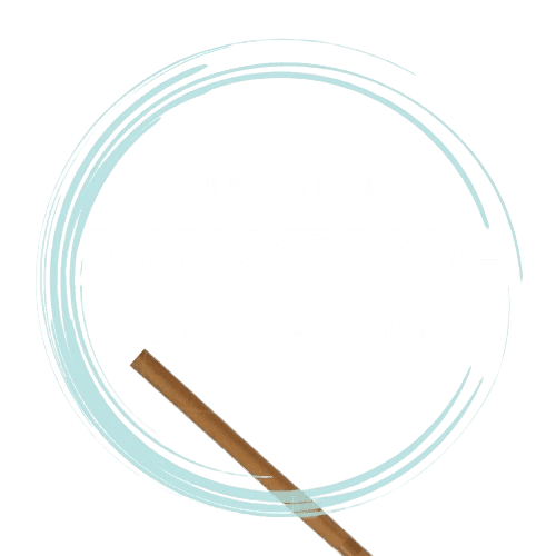 logo-punting-cambridge